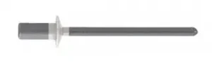 Tvirta kniedė su įgilinta galvute ALF 4,0 × 8 mm RAL 7035 – kartoninė dėžė – 500 vnt.